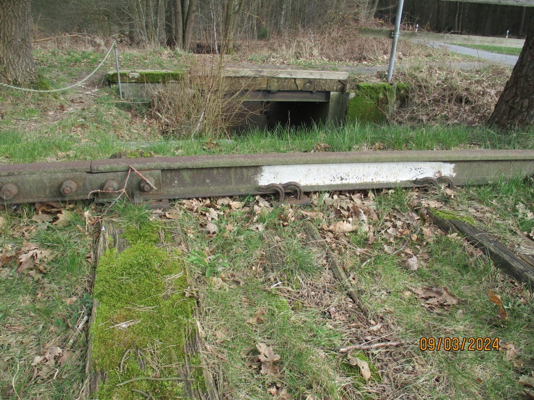 ZWNEGI15